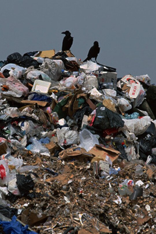 Закон, защищающий Россию от мусорной катастрофы, «застрял» в Госдуме