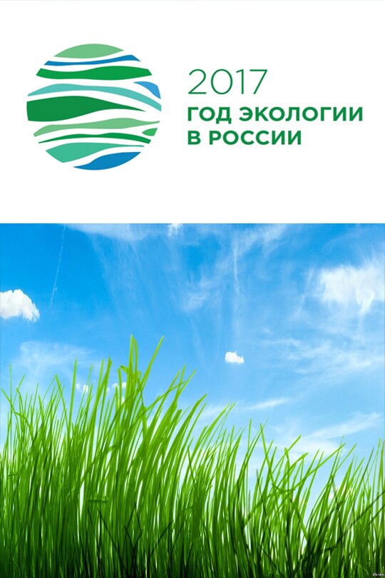 Три главных разочарования от Года экологии в России