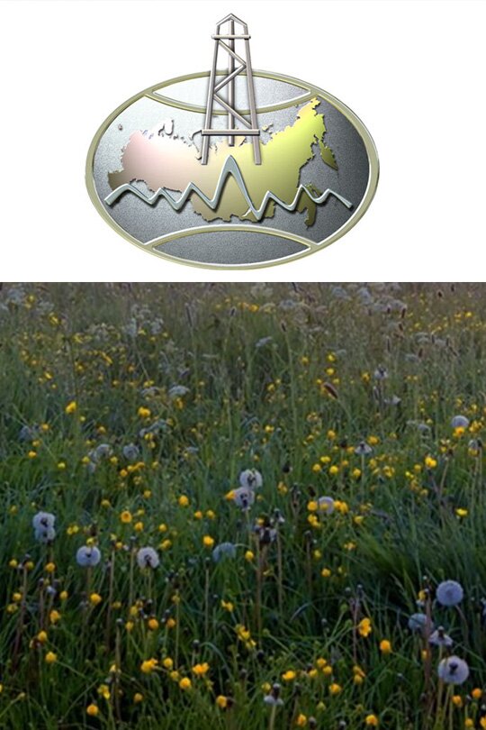 В Минприроды России будет создана рабочая группа